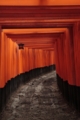 千本鳥居