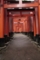 千本鳥居