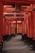千本鳥居