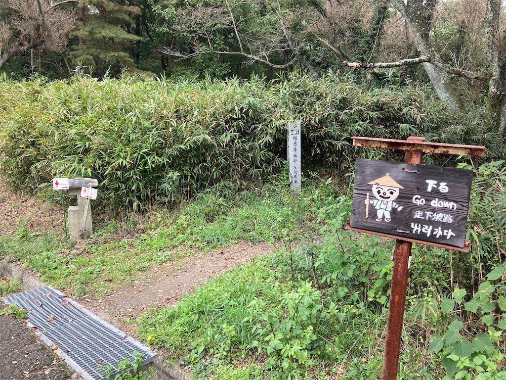f:id:ebichan1234:20201020000508j:image