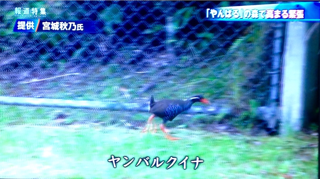 f:id:ebiharaism:20160806200936j:image f:id:ebiharaism:20160806200936j:image