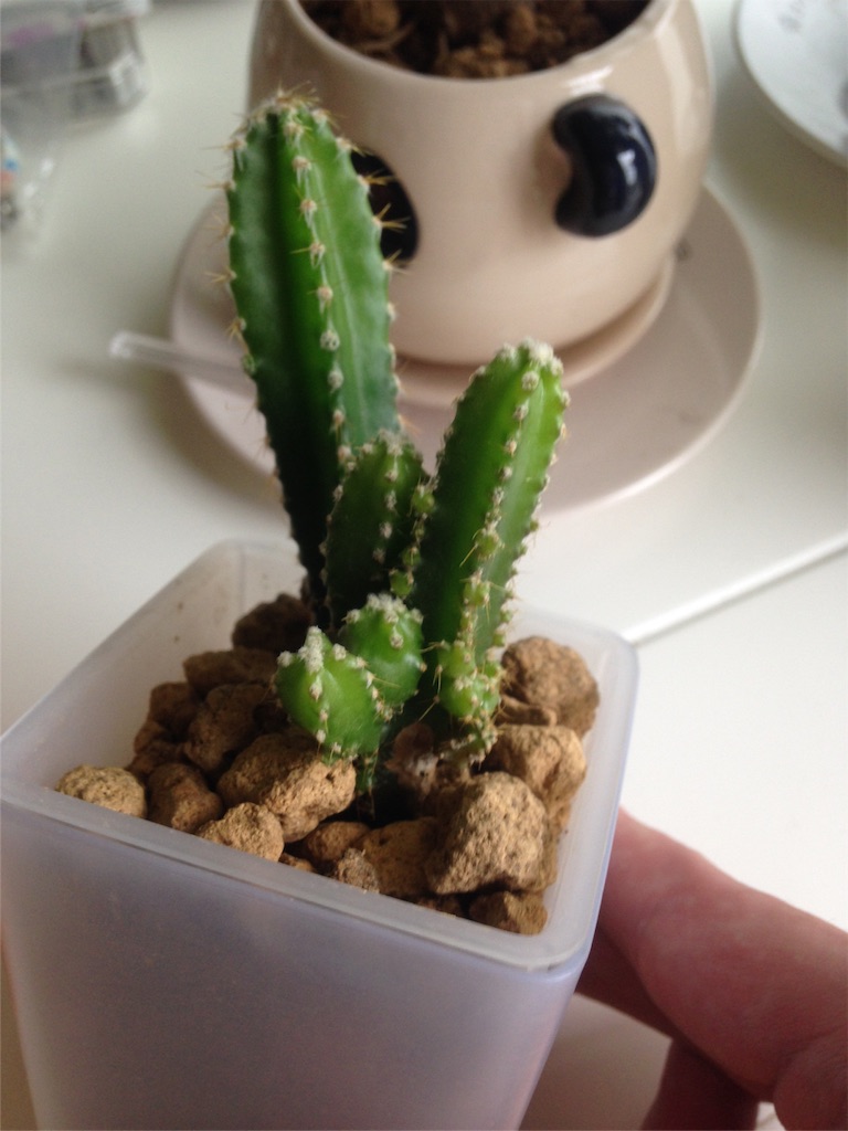 f:id:ebiharaism:20160827150839j:image f:id:ebiharaism:20160827150839j:image