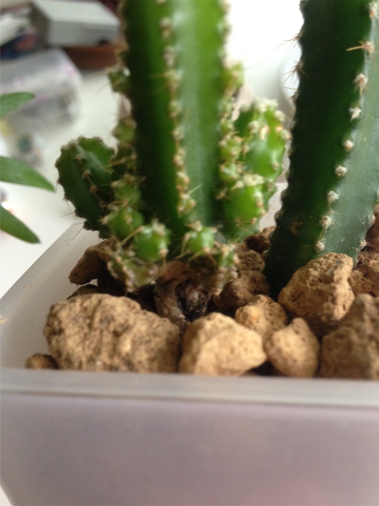 f:id:ebiharaism:20160827151305j:image f:id:ebiharaism:20160827151305j:image