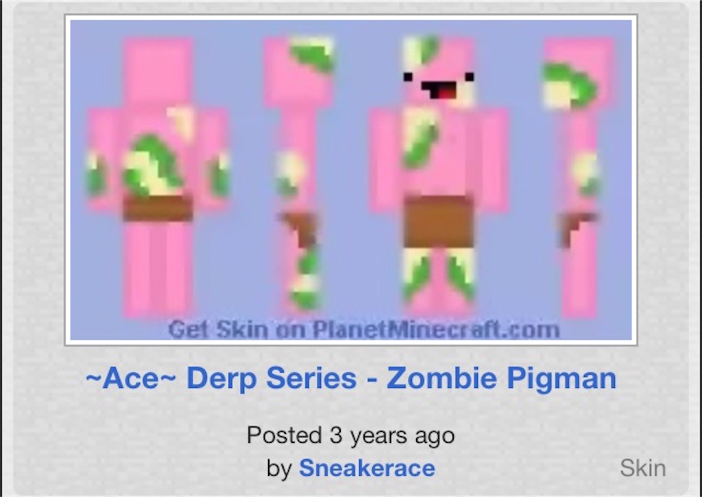 Minecraft The Derp あなたの知らない馬鹿なスキン Derpなクリスマススキン モブトエキストラ