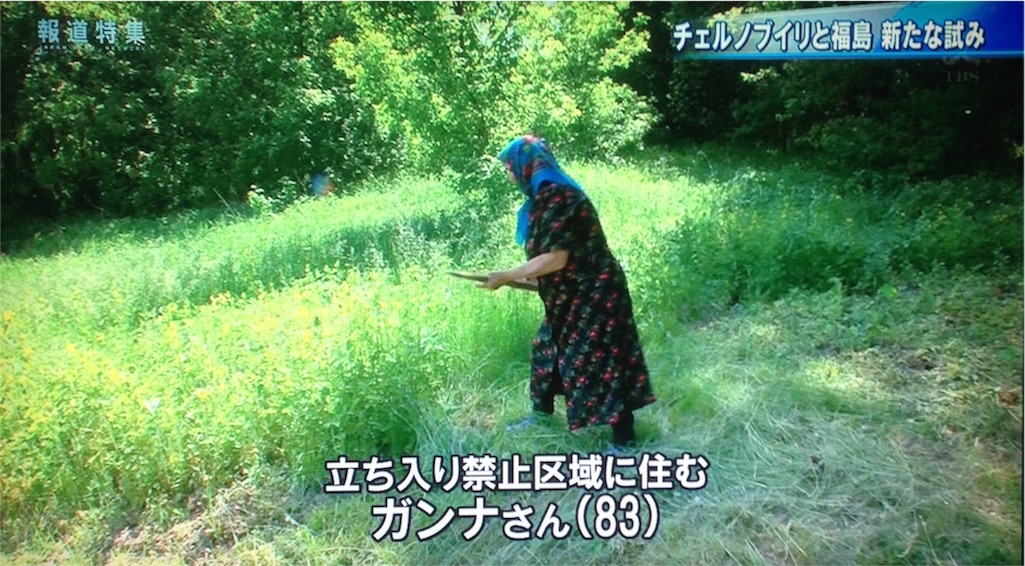 f:id:ebiharaism:20170729192645j:image f:id:ebiharaism:20170729192645j:image