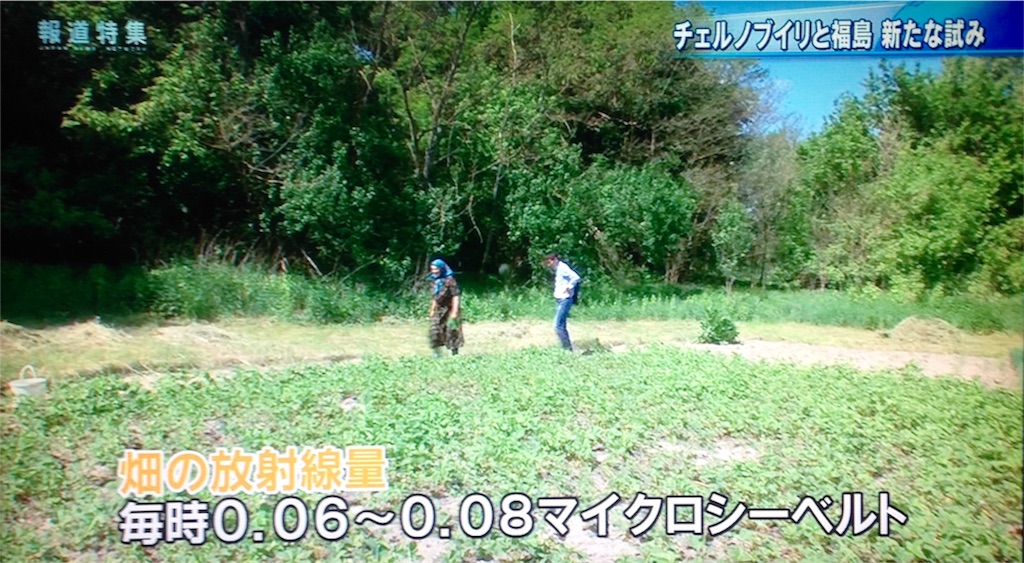 f:id:ebiharaism:20170729192722j:image f:id:ebiharaism:20170729192722j:image