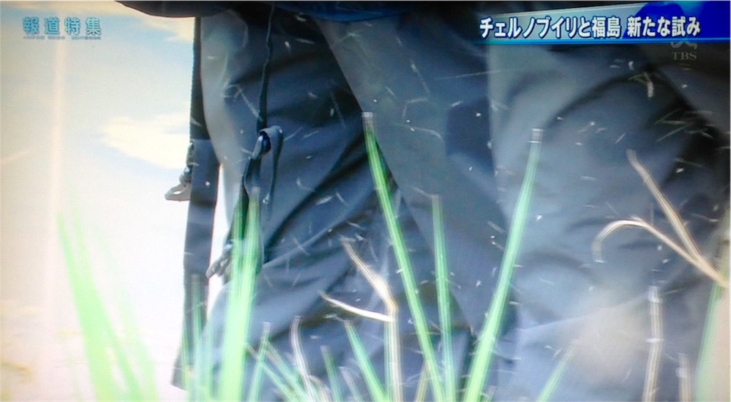 f:id:ebiharaism:20170729201324j:image f:id:ebiharaism:20170729201324j:image