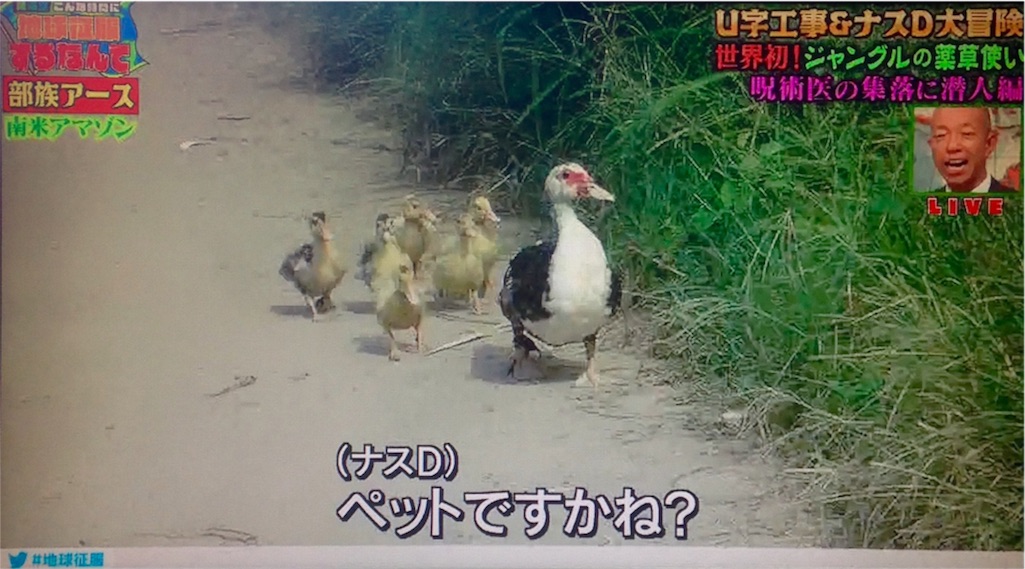 ペットではない モブトエキストラ