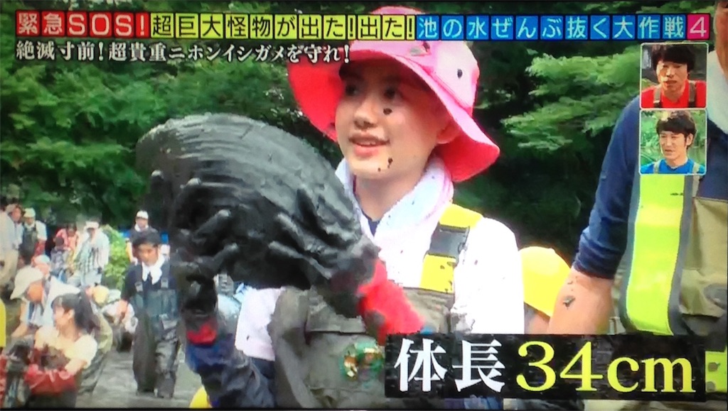 f:id:ebiharaism:20170903235401j:image