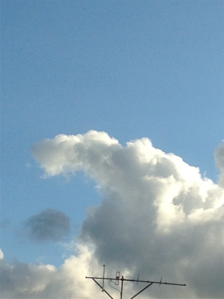 f:id:ebiharaism:20171229115855j:image f:id:ebiharaism:20171229115855j:image