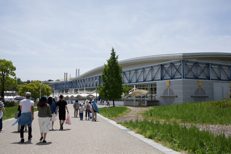 f:id:ebikanix:20170611213337j:plain