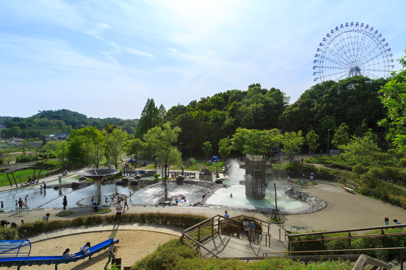 f:id:ebikanix:20170614212939j:plain f:id:ebikanix:20170614212939j:plain