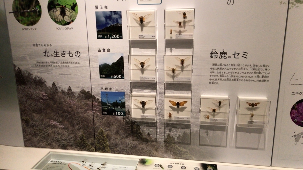 f:id:ebikazuki:20180124215909j:plain f:id:ebikazuki:20180124215909j:plain