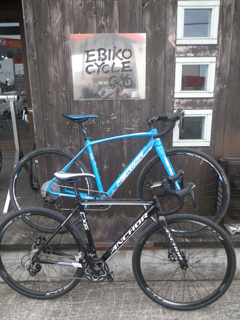 f:id:ebikocycle:20161229140946j:plain