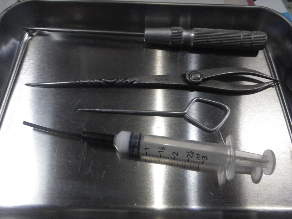 f:id:ebikocycle:20170130150956j:plain