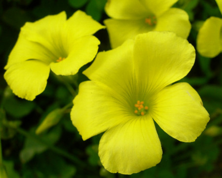 f:id:ebikusu:20100321184353j:image f:id:ebikusu:20100321184353j:image