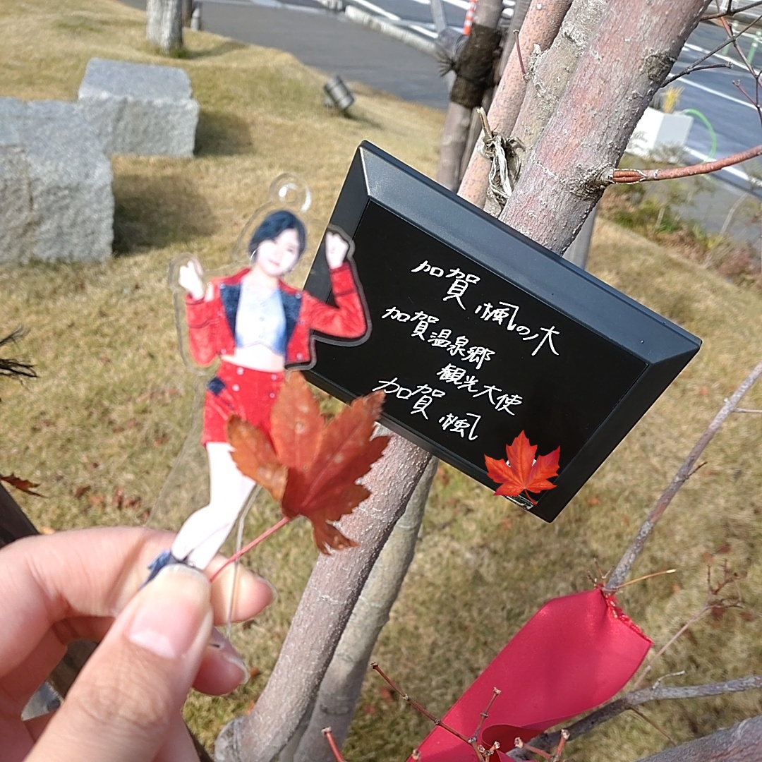 加賀楓の木に設置されている加賀楓さん直筆プレートと加賀楓さんのFSK（フィギュアスタンドキーホルダー）の写真