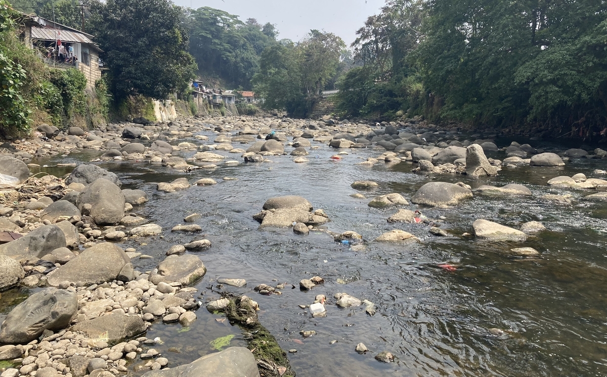 世界川エビ紀行 #18 ~ Bogor - 2 - Crazy Shrimp