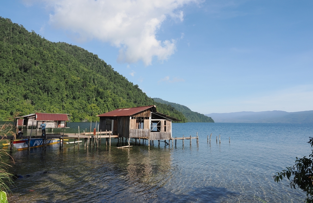 世界川エビ紀行 #19 ~ Sulawesi - 1 - Crazy Shrimp