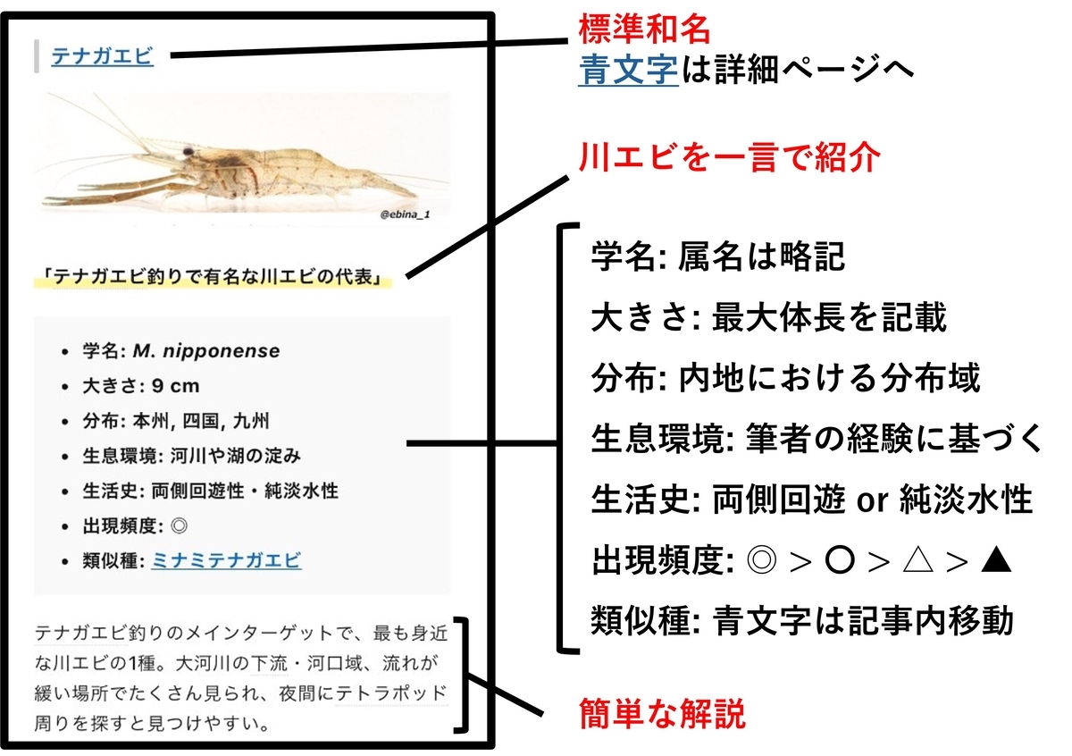 日本の淡水エビ図鑑 ~ 身近で見られる川エビ14種 - Crazy Shrimp