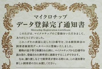 f:id:ebis88:20200307161109p:plain
