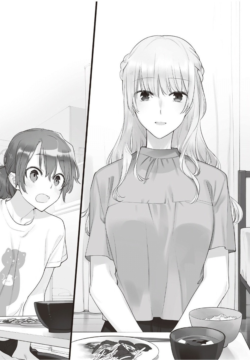 やがて君になる（本編、アンソロジー、佐伯沙弥香にについて小説、画集）セット Amazon.co.jp: やがて君になる 佐伯沙弥香について 全3巻 新品