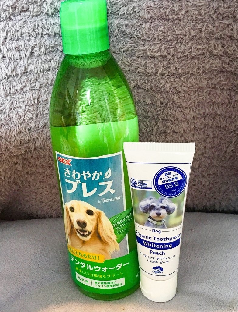 f:id:ebyokeikei:20190122223352j:plain f:id:ebyokeikei:20190122223352j:plain