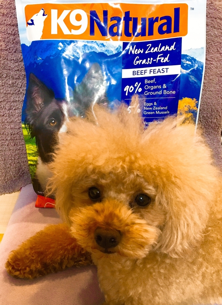 f:id:ebyokeikei:20190122223429j:plain