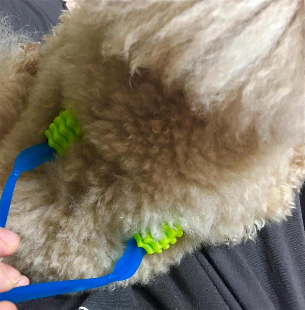 f:id:ebyokeikei:20190204231631j:plain f:id:ebyokeikei:20190204231631j:plain
