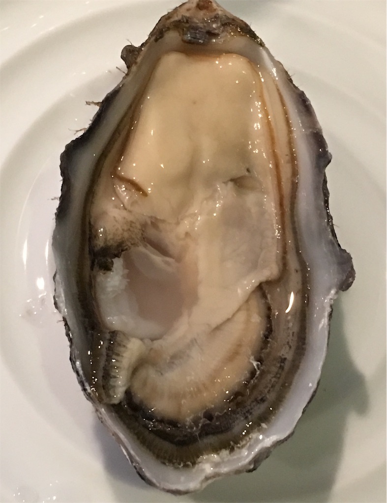 f:id:ebyokeikei:20190214222752j:plain f:id:ebyokeikei:20190214222752j:plain