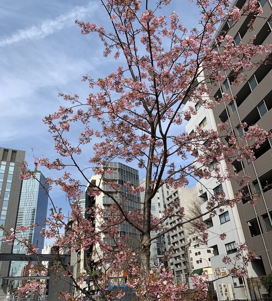 f:id:ebyokeikei:20190224214107j:plain f:id:ebyokeikei:20190224214107j:plain