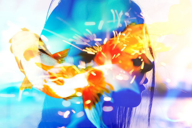 f:id:ebzsmgur:20180801165450p:plain f:id:ebzsmgur:20180801165450p:plain