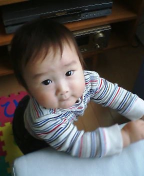 f:id:ec31913:20060520135139j:image