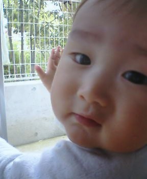 f:id:ec31913:20060521191718j:image
