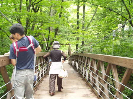 f:id:ec31913:20070801114122j:image