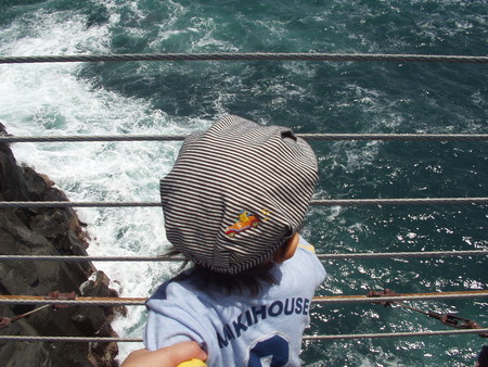 f:id:ec31913:20080528205304j:image