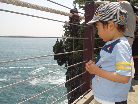 f:id:ec31913:20080528205525j:image