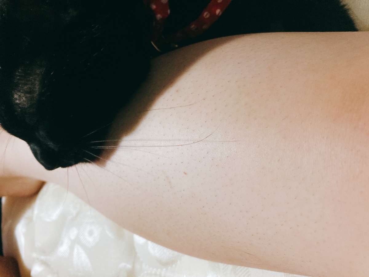 f:id:ecccco:20210614225155j:plain