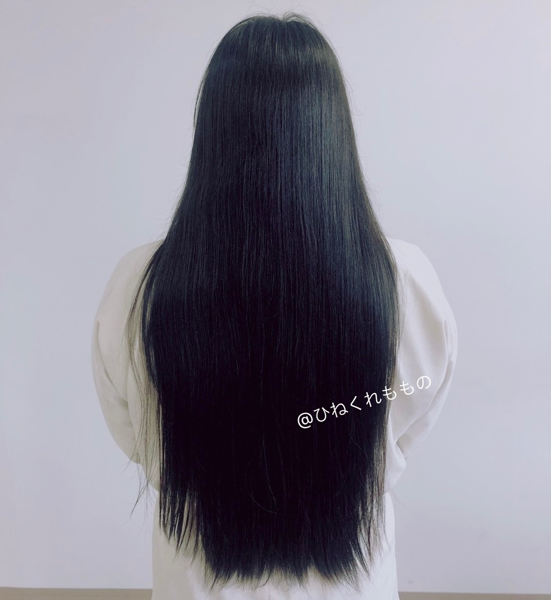 f:id:ecccco:20210629174512j:plain