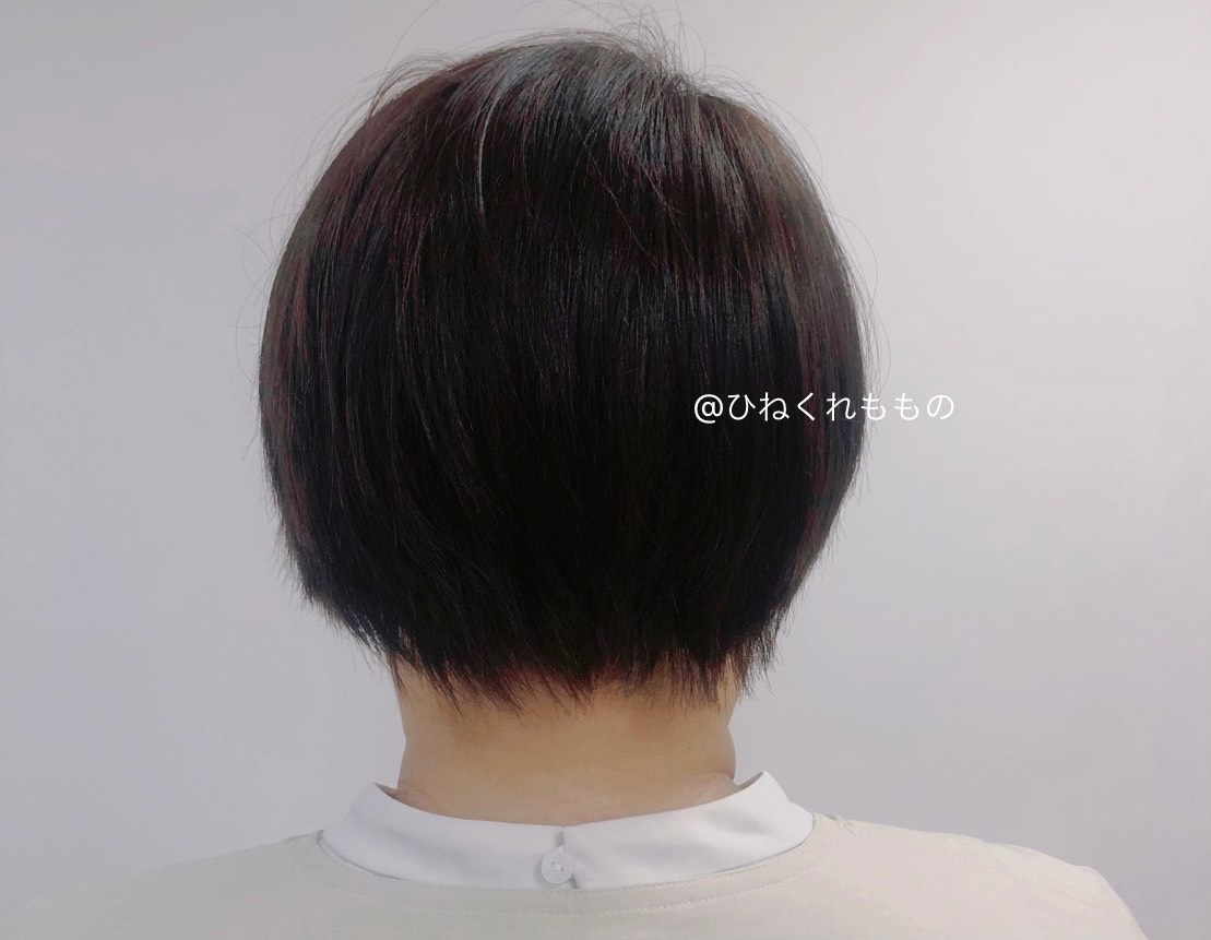 f:id:ecccco:20210629174724j:plain