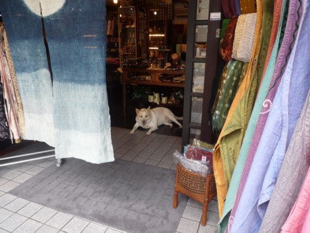 f:id:echelon6:20090710153725j:image