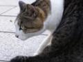 20060914170014