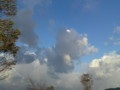 20091102163318