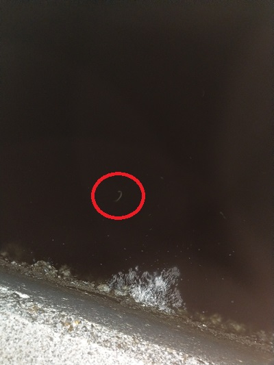 f:id:echoblog:20180402225939j:plain f:id:echoblog:20180402225939j:plain