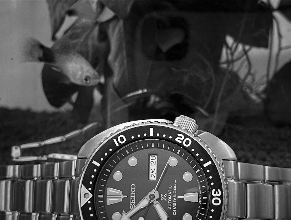 高品質ダイバーウォッチ　タートル　クォーツ　植村　オマージュ og.jpg