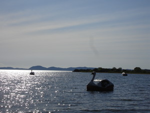f:id:echos:20080615161428j:image