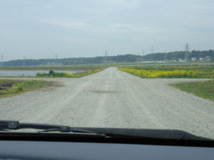 f:id:echos:20100519112304j:image