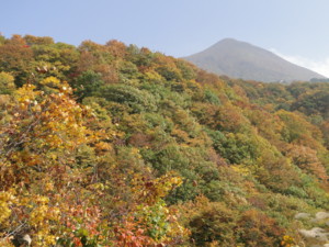 f:id:echos:20111014104613j:image