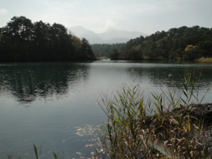 f:id:echos:20111014111951j:image