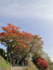f:id:echos:20111014112539j:image